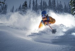 nbalive2008有没有个人生涯？nbalive2008选秀？