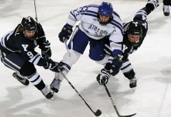 杜兰特+申京转型火箭双核仅得37分，遇包夹就传球，激活射手群