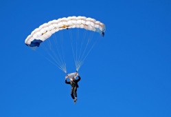 0分！辽篮新援持续低迷球迷直言跟图雷一样杨鸣还要忍多久