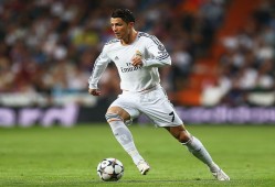 布冯是哪个哪国门将，布冯是哪国门将?